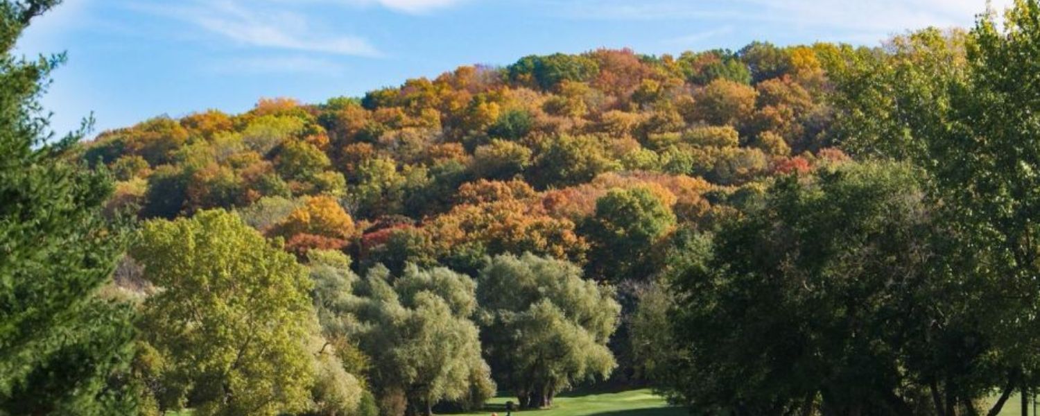 St. Davids in Niagara-on-the-Lake